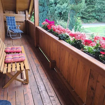 Steinbeisser By Interhome Arrach